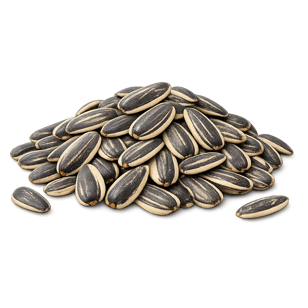 Sunflower seeds