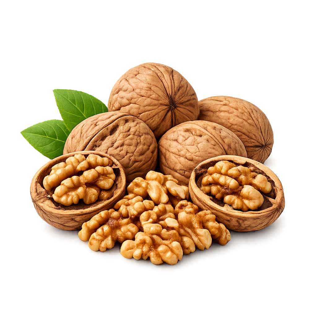 Walnut